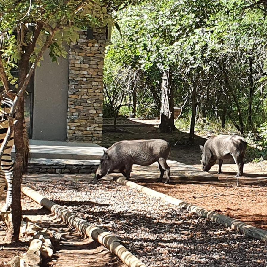 Luvivane Luxury Villa Marloth Park Exterior foto
